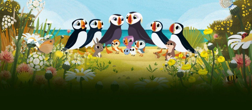 actualité puffin rock
