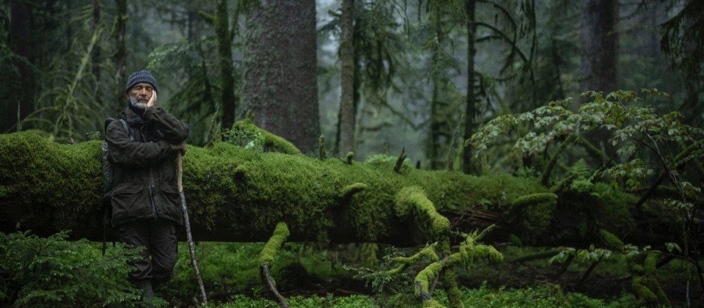 actualité le chant des forets