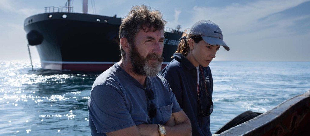 actualité los tigres