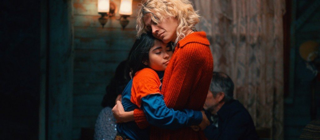 actualité flamand rose